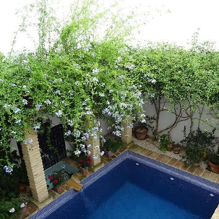 Casa La Loba 호텔 메디나시도니아 외부 사진